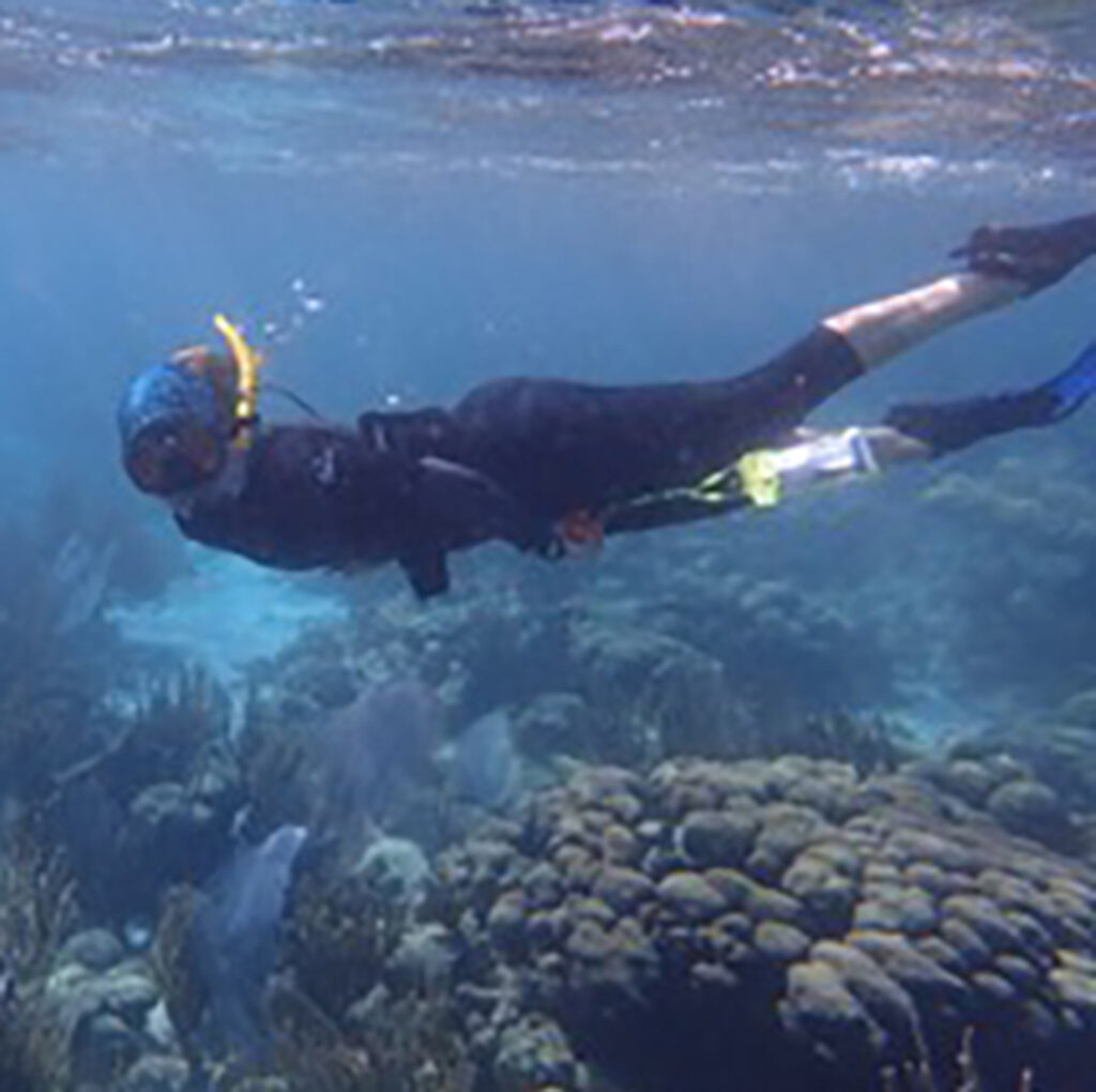 Coral research