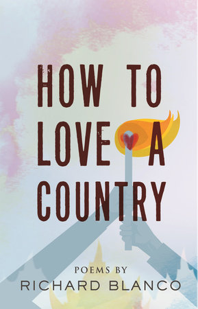 "How to Love a Country" Book Cover