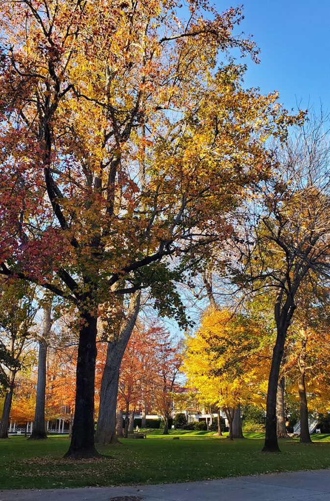 Front Quad in Fall