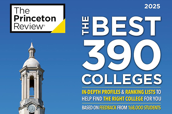 Best 390 Colleges Book Cover