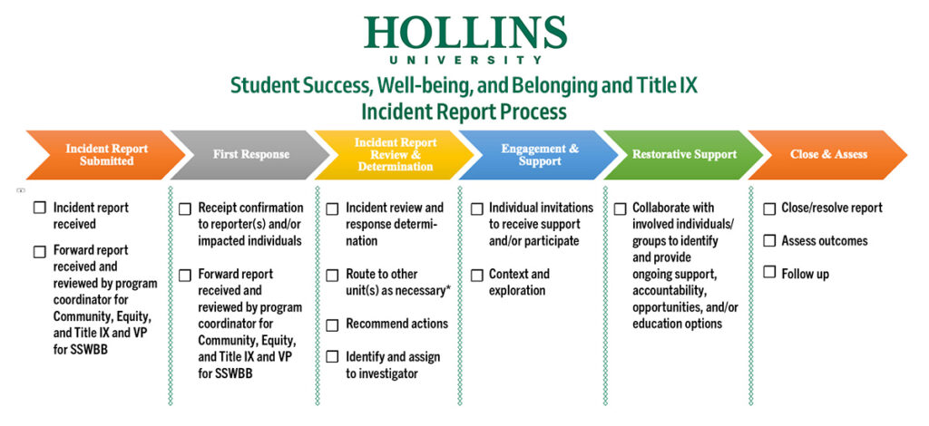 Title IX, Bias, and Harassment Incident Report Process - Graphic